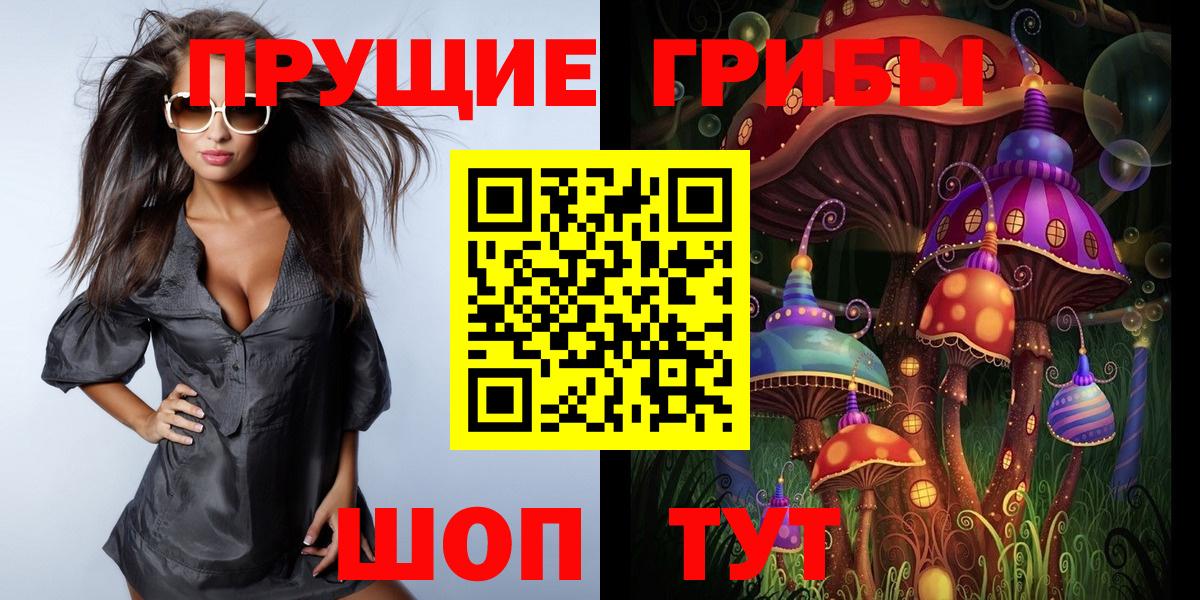 Галлюциногенные грибы Psilocybe Назрань